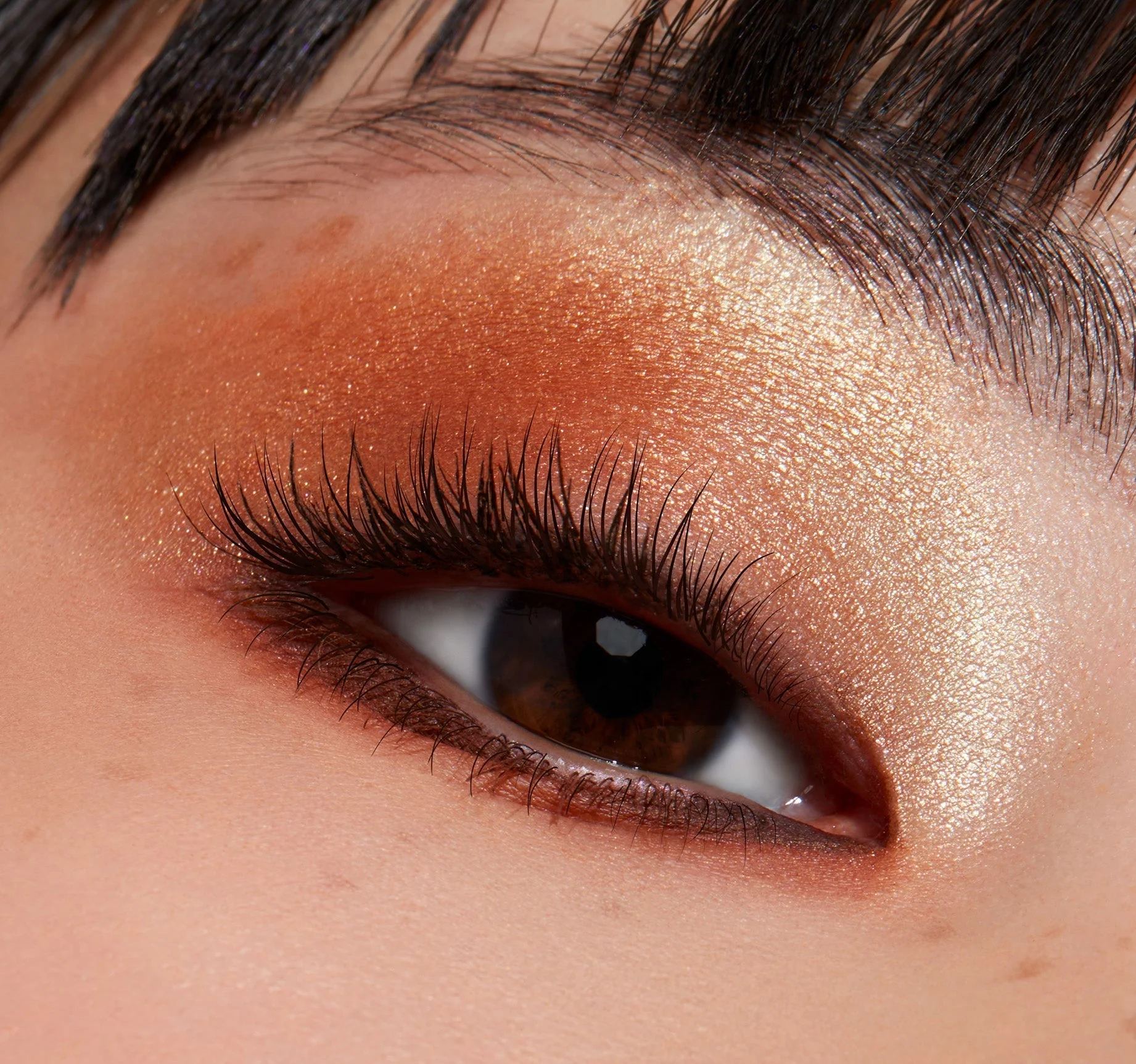 Morphe Ready For Anything 12-Pan Eyeshadow Palette- Wallflower