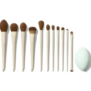 Morphe X Ariel Signature Look 12-Piece Face & Eye Brush Set